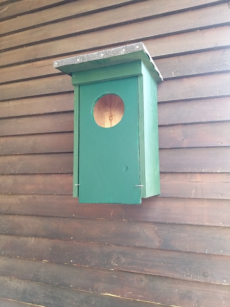 Nesting box tawny owl