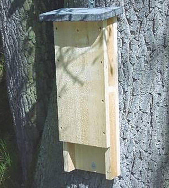 Bat Box - Made by Lebensgemeinschaft e.V.