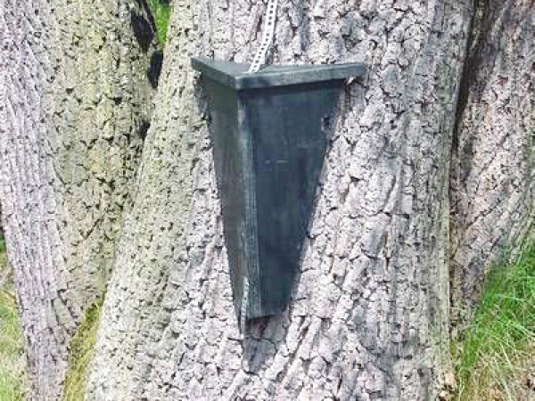 Treecreeper nesting box - Made by Lebensgemeinschaft e.V.