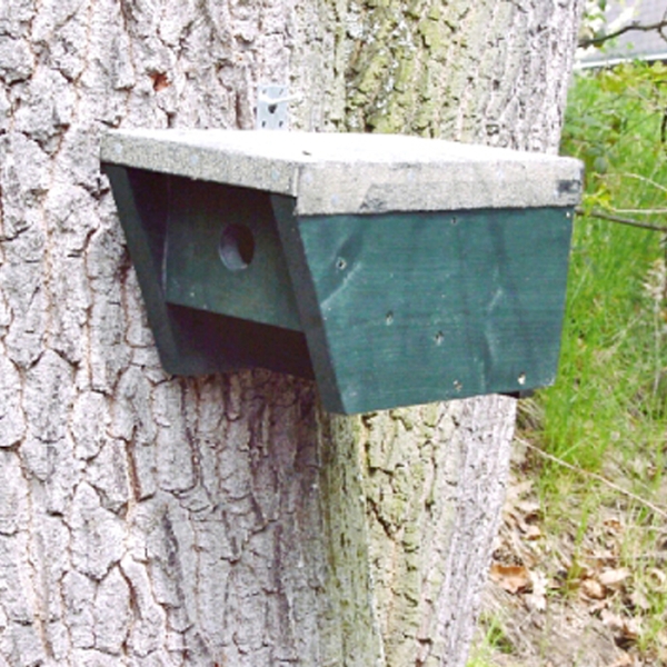 Special nesting box Nesting box specia