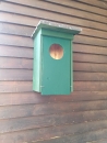 Nesting box boreal owl